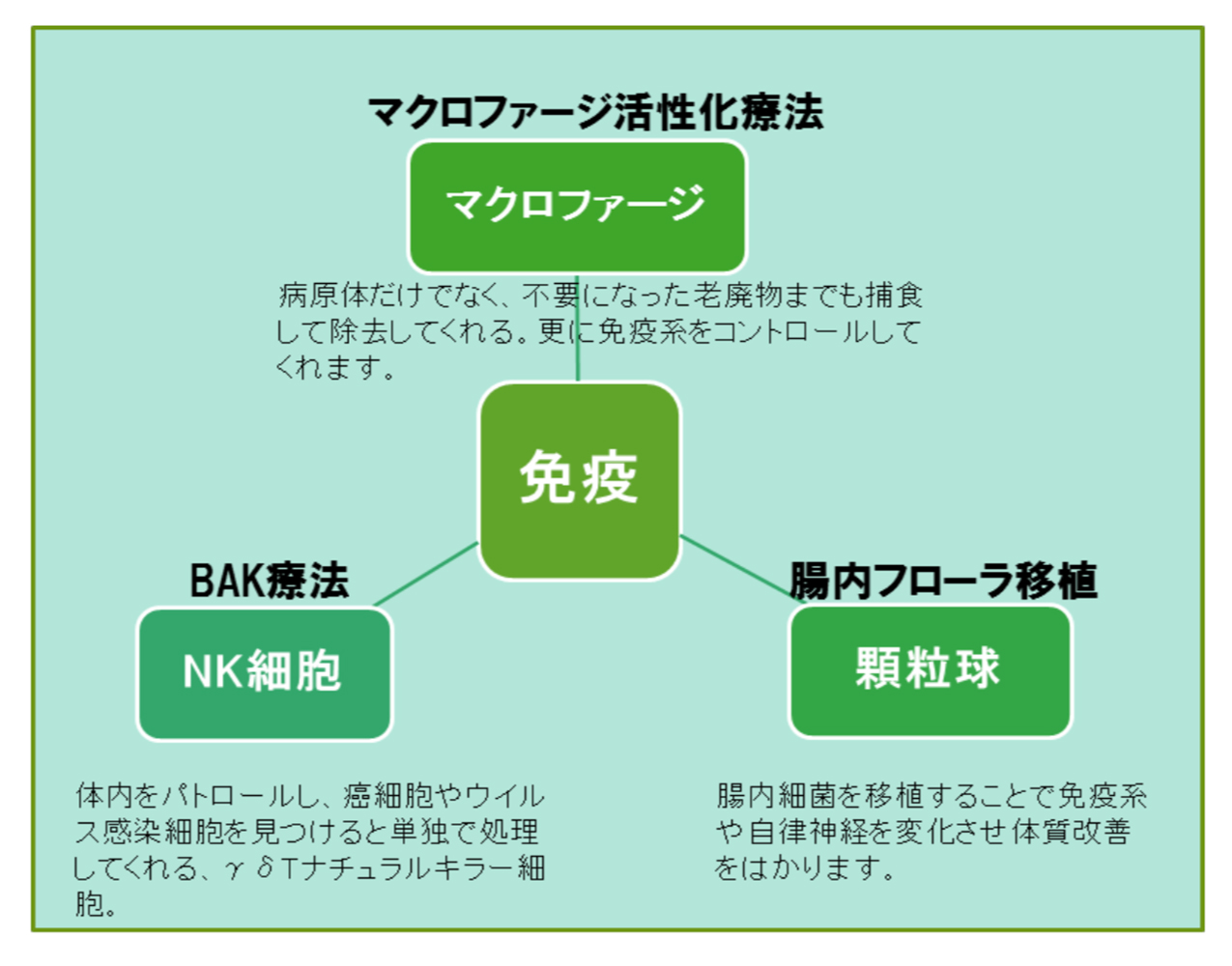 免疫療法の図