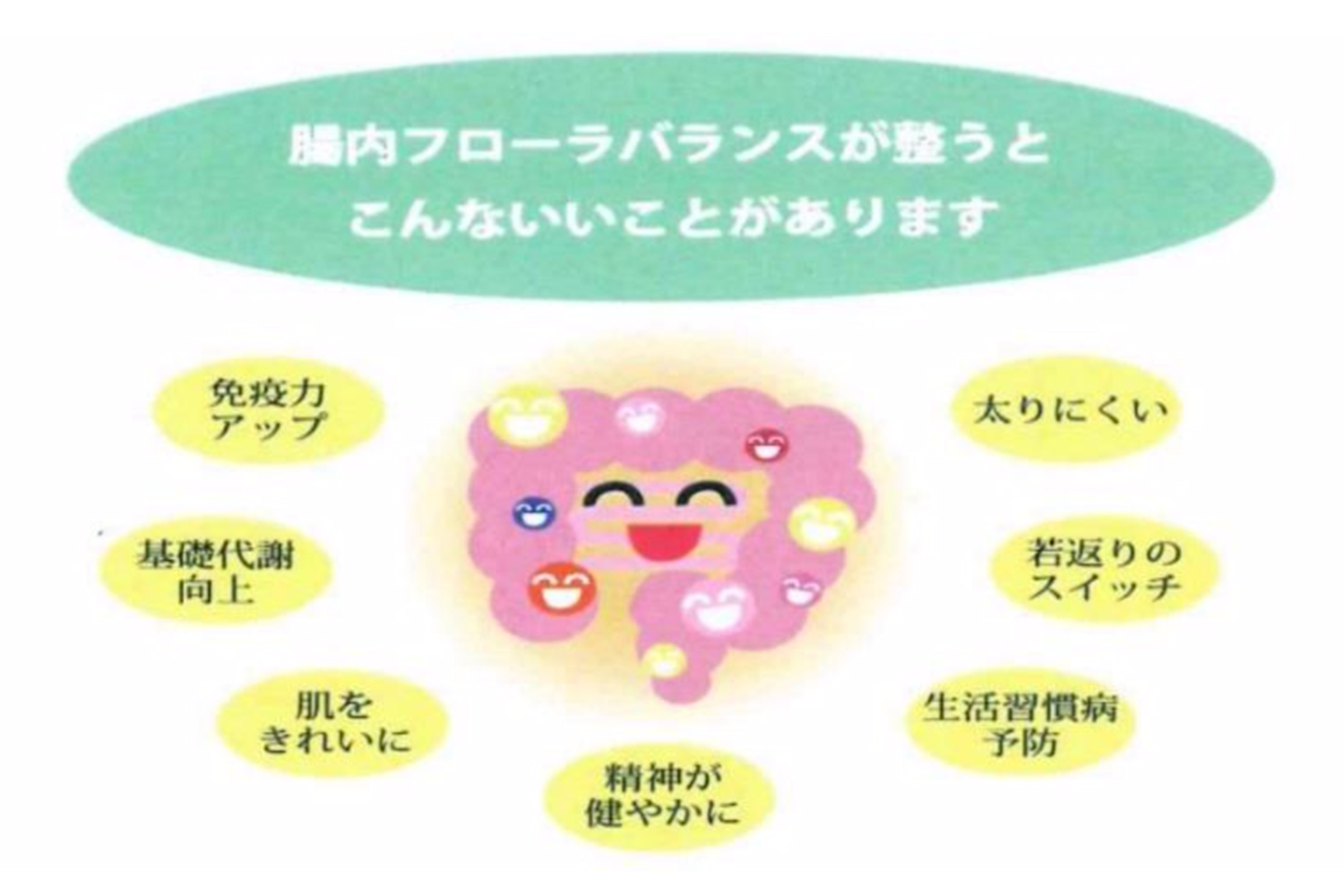 マクロファージ説明の図